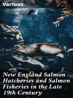 cover image of New England Salmon Hatcheries and Salmon Fisheries in the Late 19th Century